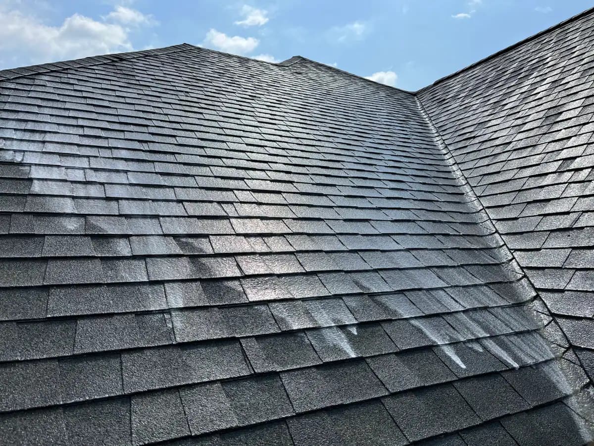 A residential roof after low-pressure soft-wash streak removal